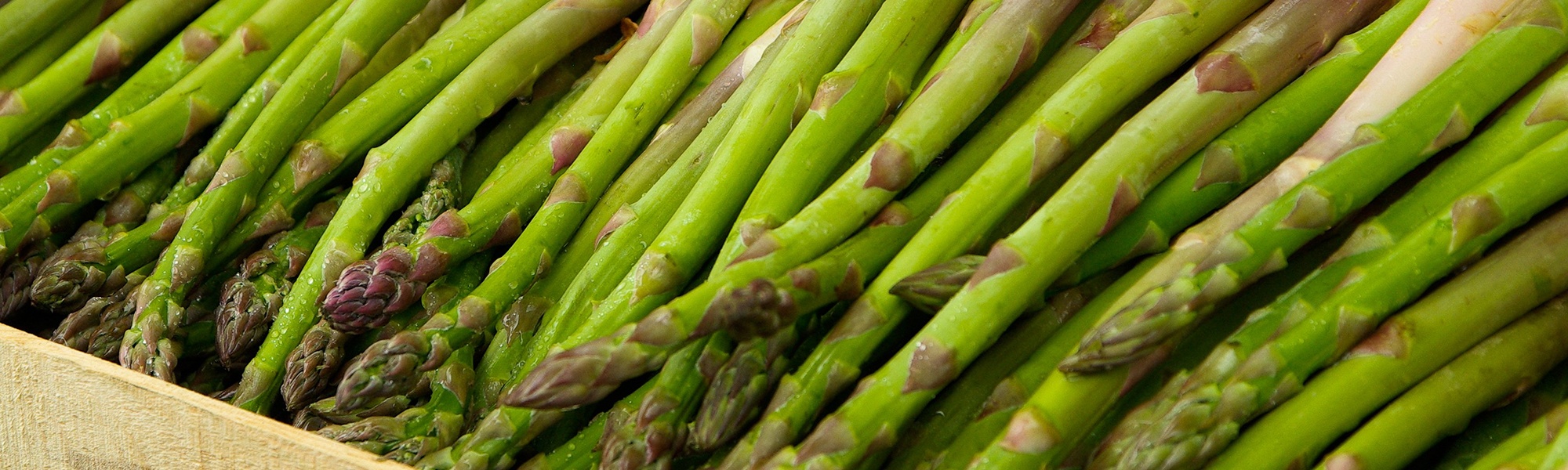 Asperges La Noirette à Marion