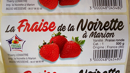 fraises La Noirette à Marion